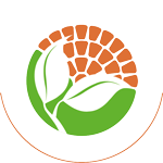 Henk Born Logo